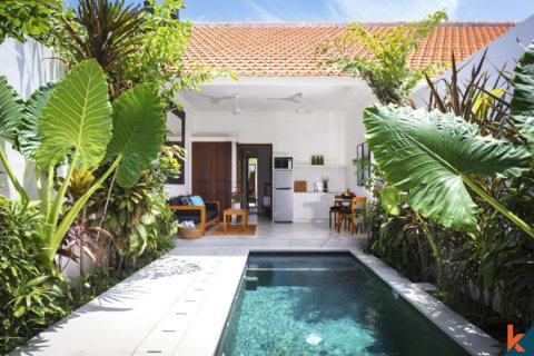 1 bedroom Villa in Seminyak, Badung, Indonesia No. 11030