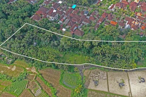 Land in Sukawati, Gianyar, Indonesia No. 2165