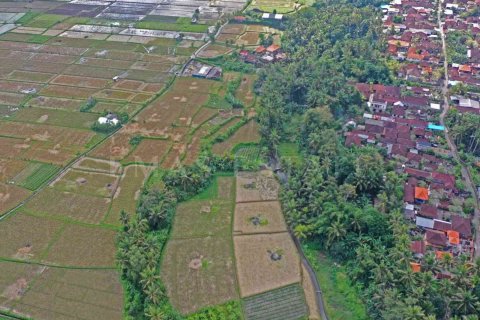 Land in Sukawati, Gianyar, Indonesia No. 2165 3