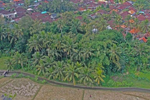 Land in Sukawati, Gianyar, Indonesia No. 2165 2
