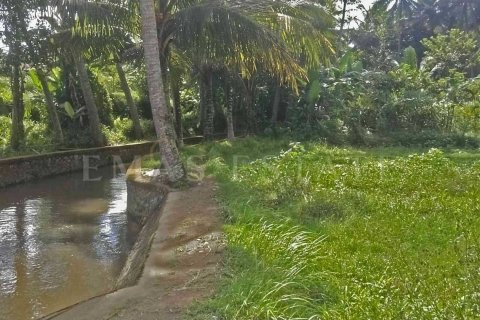 Land in Sukawati, Gianyar, Indonesia No. 2165 6