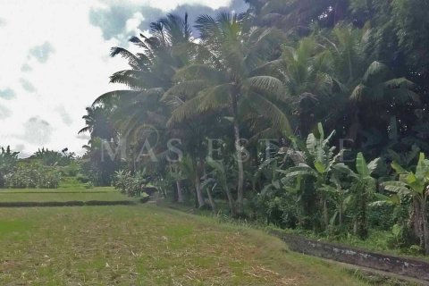 Land in Sukawati, Gianyar, Indonesia No. 2165 4