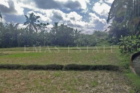 Land in Sukawati, Gianyar, Indonesia No. 2165 5
