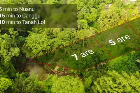 Land in Tabanan, Indonesia No. 10347 4