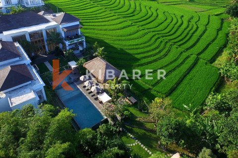 5 bedrooms Villa in Canggu, Badung, Indonesia No. 12882 2