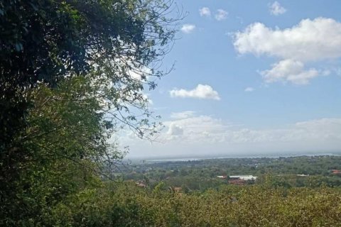 17550m2 Land in Nusa Dua, Badung, Indonesia No. 157 2