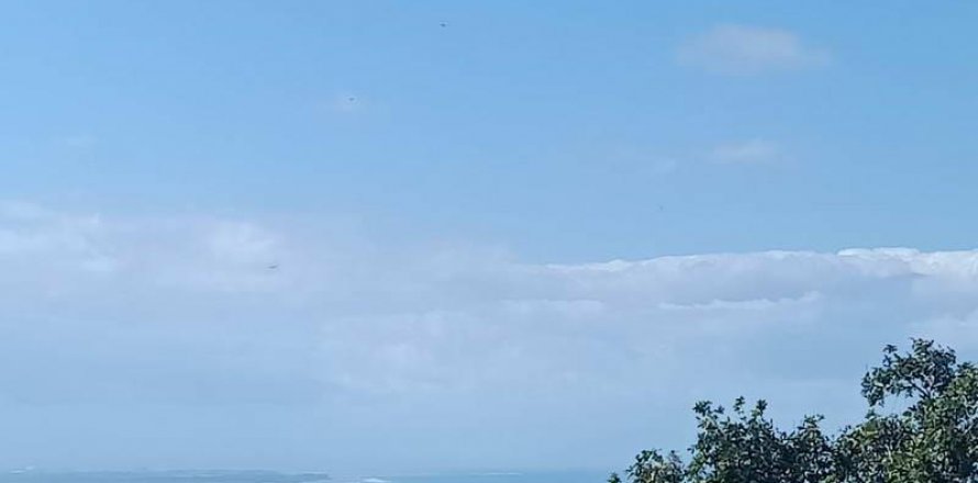 17550m2 Land in Nusa Dua, Badung, Indonesia No. 157