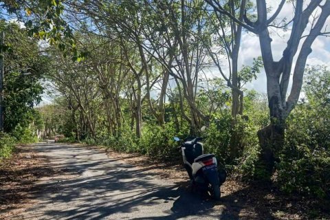 17550m2 Land in Nusa Dua, Badung, Indonesia No. 157 3
