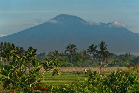 6 bedrooms Villa in Canggu, Badung, Indonesia No. 711 29