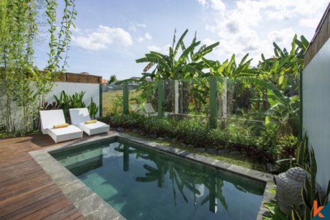 2 bedrooms Villa in Denpasar, Indonesia No. 10161 6