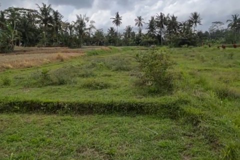 Land in Tegallalang, Gianyar, Indonesia No. 11083