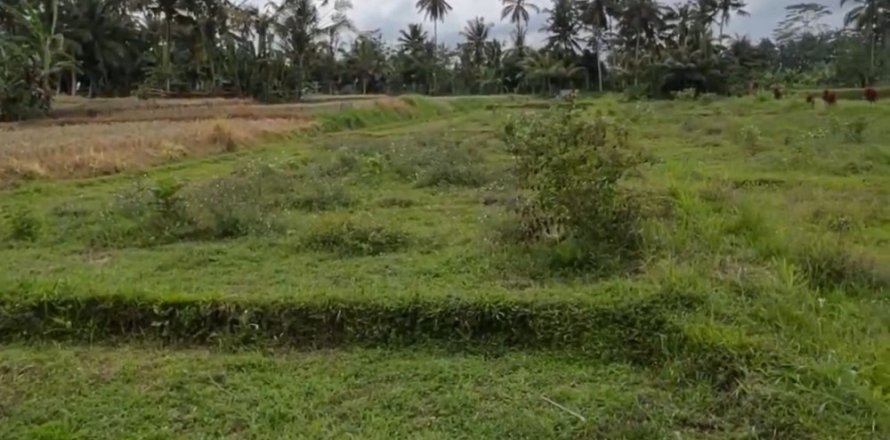 Land in Tegallalang, Gianyar, Indonesia No. 11083