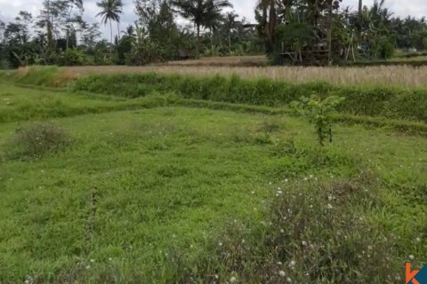 Land in Tegallalang, Gianyar, Indonesia No. 11083 2