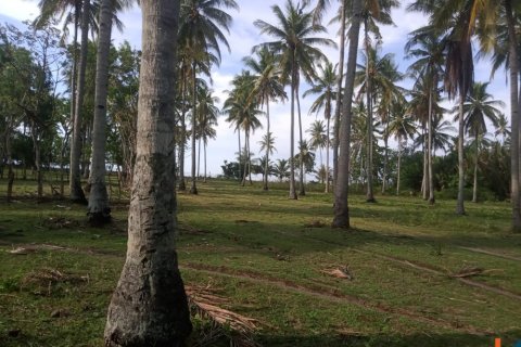 Land in Central Lombok, Indonesia No. 11078