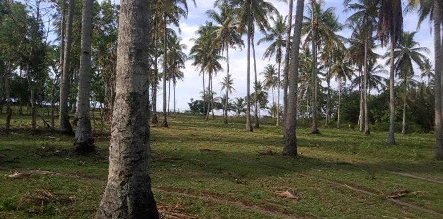 Land in Central Lombok, Indonesia No. 11078