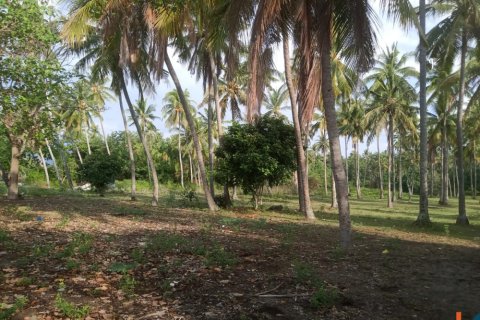 Land in Central Lombok, Indonesia No. 11078 3