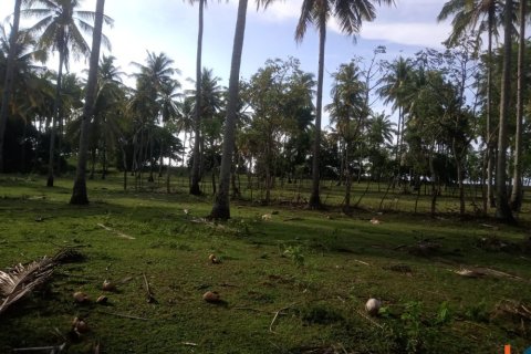 Land in Central Lombok, Indonesia No. 11078 2