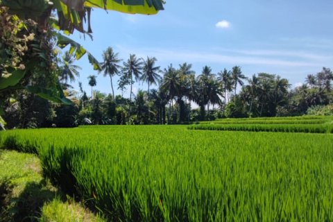 Land in Ubud, Gianyar, Indonesia No. 11082 6