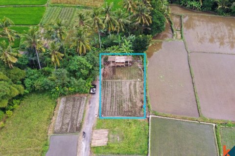 Land in Ubud, Gianyar, Indonesia No. 11082