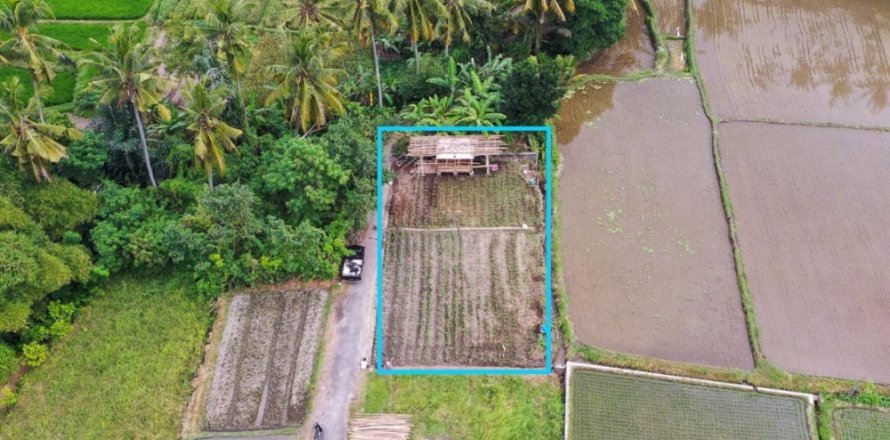 Land in Ubud, Gianyar, Indonesia No. 11082