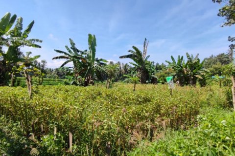 Land in Ubud, Gianyar, Indonesia No. 11082 2
