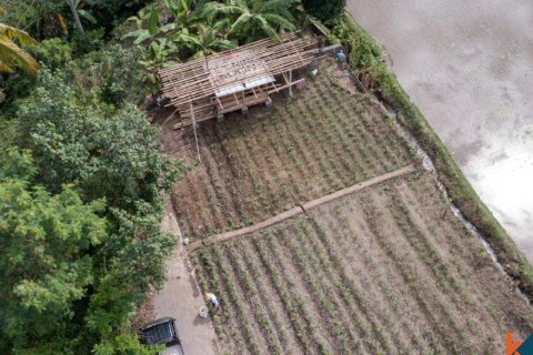 Land in Ubud, Gianyar, Indonesia No. 11082 3