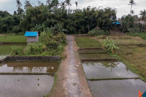 Land in Ubud, Gianyar, Indonesia No. 11082 4