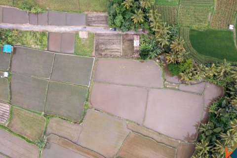 Land in Ubud, Gianyar, Indonesia No. 11082 5