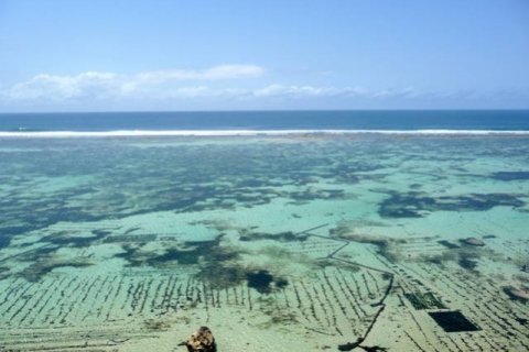 Вилла с 4 спальнями в Nusa Dua, Бадунг, Индонезия № 769 5