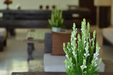 5 bedrooms Villa in Seminyak, Badung, Indonesia No. 772 14