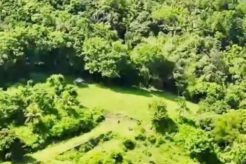 Land in Central Lombok, Indonesia No. 10199 4