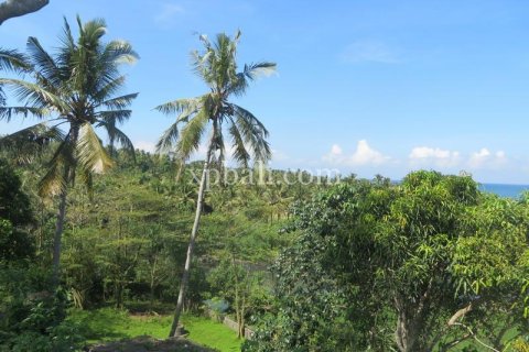 9335m2 Land in Negara, Jembrana, Indonesia No. 9167
