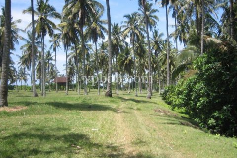 24800m2 Land in Tabanan, Indonesia No. 9168 6