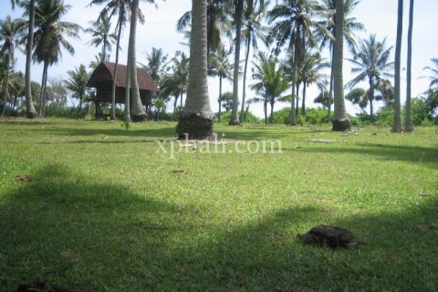24800m2 Land in Tabanan, Indonesia No. 9168 10