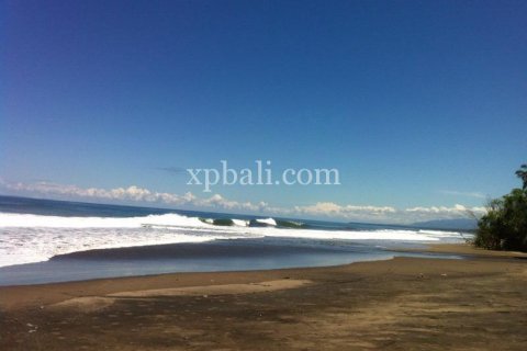 24800m2 Land in Tabanan, Indonesia No. 9168 2