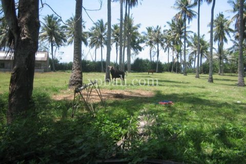 24800m2 Land in Tabanan, Indonesia No. 9168 8
