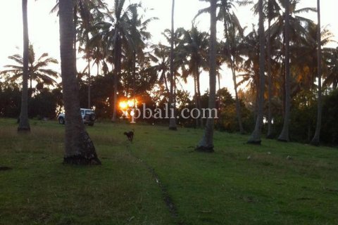 24800m2 Land in Tabanan, Indonesia No. 9168 4