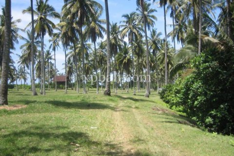 24800m2 Land in Tabanan, Indonesia No. 9168 9