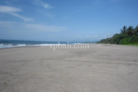 24800m2 Land in Tabanan, Indonesia No. 9168 3