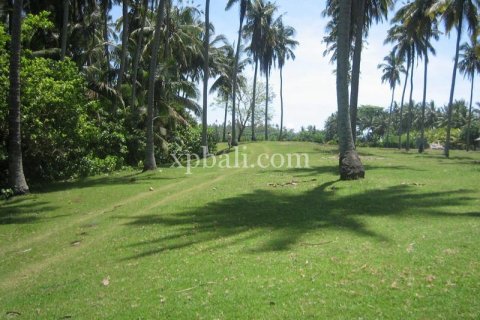 24800m2 Land in Tabanan, Indonesia No. 9168 5