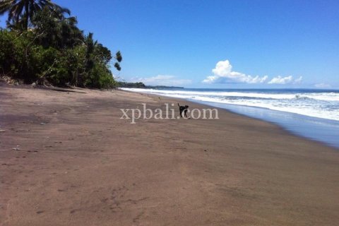 24800m2 Land in Tabanan, Indonesia No. 9168 1
