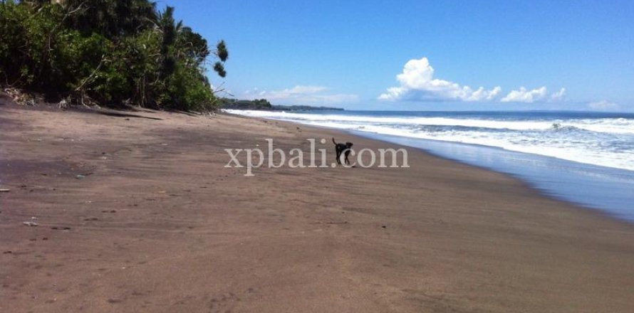 24800m2 Land in Tabanan, Indonesia No. 9168