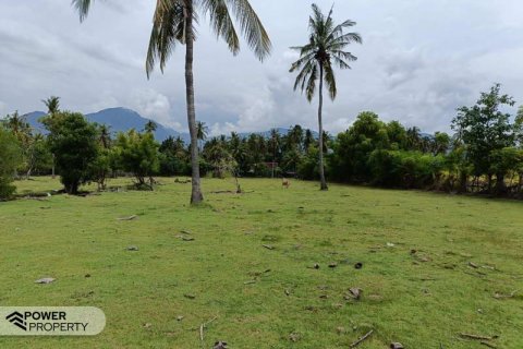 4800m2 Land in Lovina, Anturan, Buleleng, Indonesia No. 13630