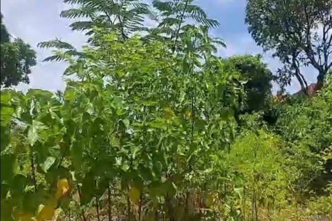 2610m2 Land in Kuta, Badung, Indonesia No. 13631