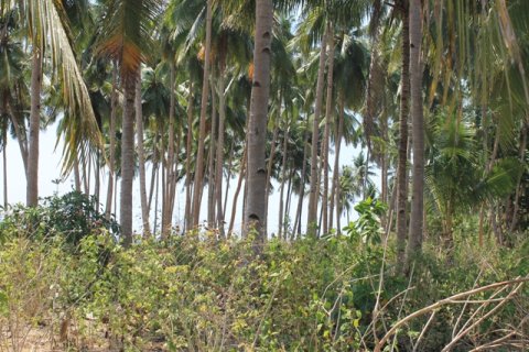 Land in Indonesia No. 11710 6
