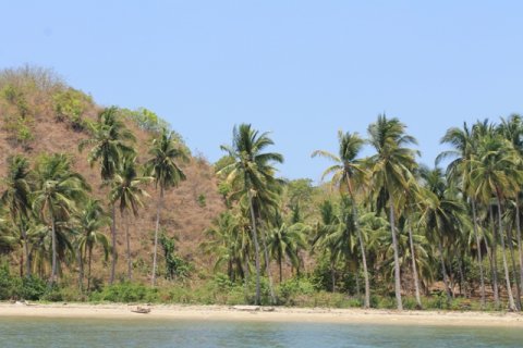 Land in Indonesia No. 11710 3