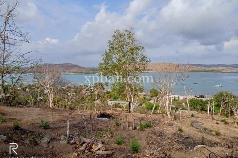 9900m2 Land in Indonesia No. 7872 13