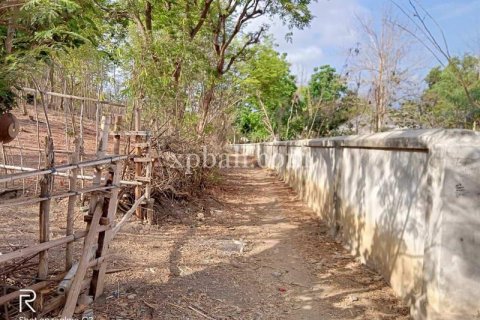 9900m2 Land in Indonesia No. 7872 7