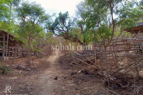 9900m2 Land in Indonesia No. 7872 5