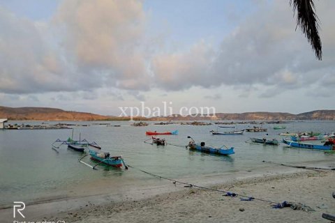 9900m2 Land in Indonesia No. 7872 6